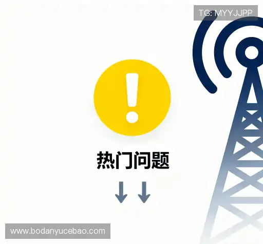 用户指南